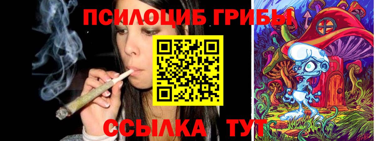 Псилоцибиновые грибы Psilocybine cubensis Джанкой