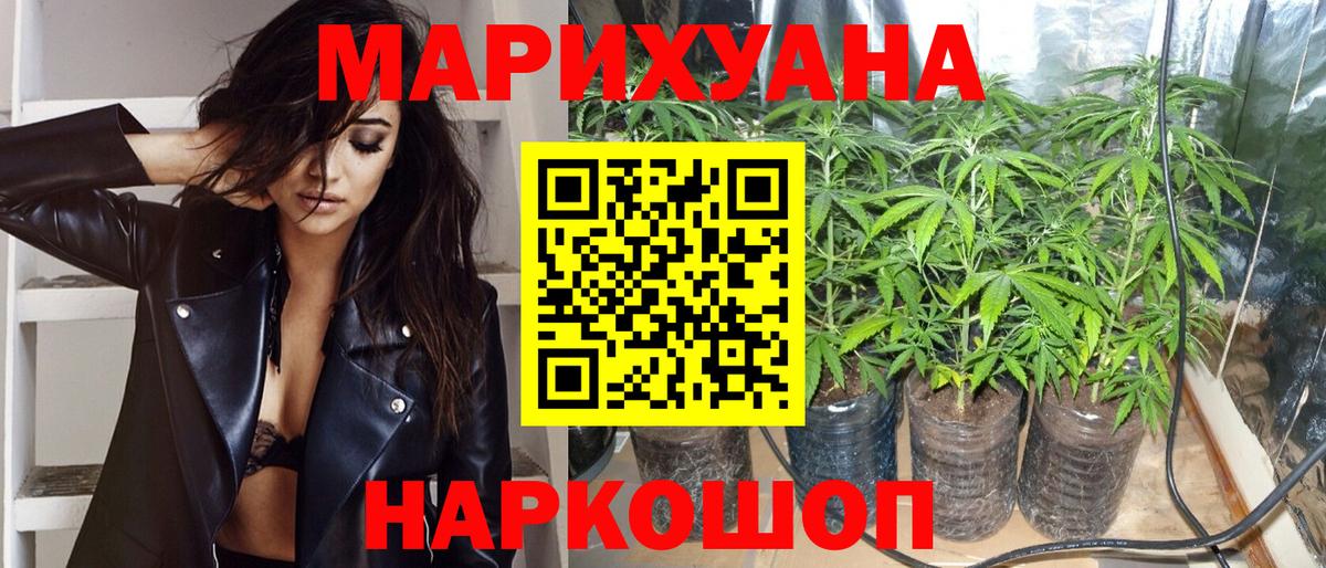Канабис OG Kush Джанкой